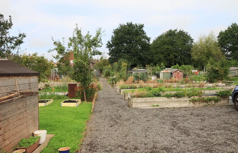 Community garden with raised beds and walking paths
